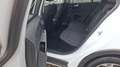 Ford Focus 2,0 EcoBlue SCR Active Aut. Weiß - thumbnail 13