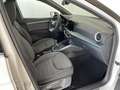 SEAT Arona 1.0 TSI S&S Xperience XS 110 Wit - thumbnail 5
