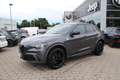 Alfa Romeo Stelvio Quadrifoglio MY24 Technologie NP:106.140 Grau - thumbnail 3