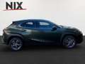 Lexus UX 250h 2.0 Hybrid Executive Line Grün - thumbnail 3