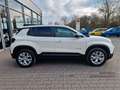 Jeep Avenger Longitude MHEV CarPlay DAB Winter-Paket LED Dyn. K Blanc - thumbnail 7