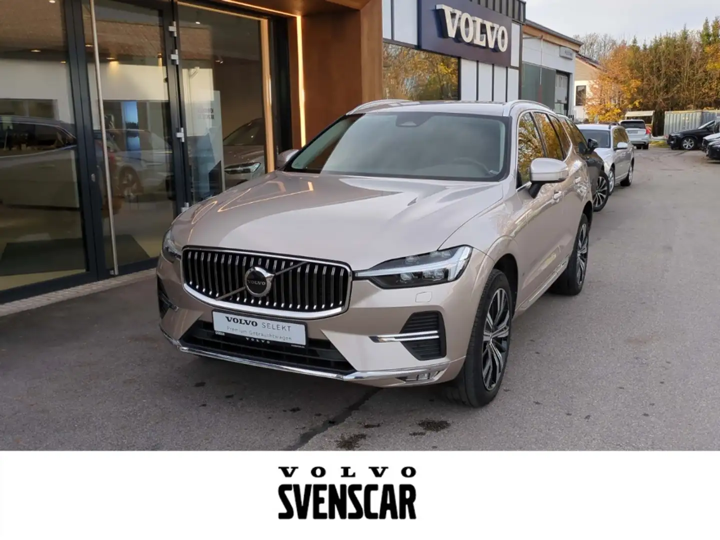 Volvo XC60 Plus Bright AWD Digitales Cockpit Memory Sitze Sou Gris - 1