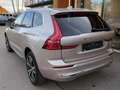 Volvo XC60 Plus Bright AWD Digitales Cockpit Memory Sitze Sou Grigio - thumbnail 5
