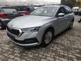 Skoda Octavia Combi 4x4 Ambition DSG Grau - thumbnail 2