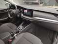 Skoda Octavia Combi 4x4 Ambition DSG Grau - thumbnail 8
