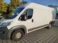 Fiat Ducato Ducato Maxi L2 Weiß - thumbnail 3