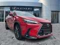 Lexus NX 350h Luxury Line AHK*Navi*4xSHZ*KAM*DAB Червоний - thumbnail 8