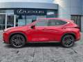 Lexus NX 350h Luxury Line AHK*Navi*4xSHZ*KAM*DAB Червоний - thumbnail 4