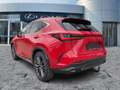 Lexus NX 350h Luxury Line AHK*Navi*4xSHZ*KAM*DAB Червоний - thumbnail 6