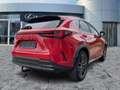 Lexus NX 350h Luxury Line AHK*Navi*4xSHZ*KAM*DAB Червоний - thumbnail 7