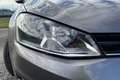 Volkswagen Golf Golf 1.6 TDI 110 CV DSG 5p. Highline BlueMotion Technology Argent - thumbnail 6