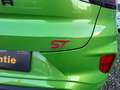 Ford Puma Puma 1,5 EcoBoost ST ST Grün - thumbnail 19