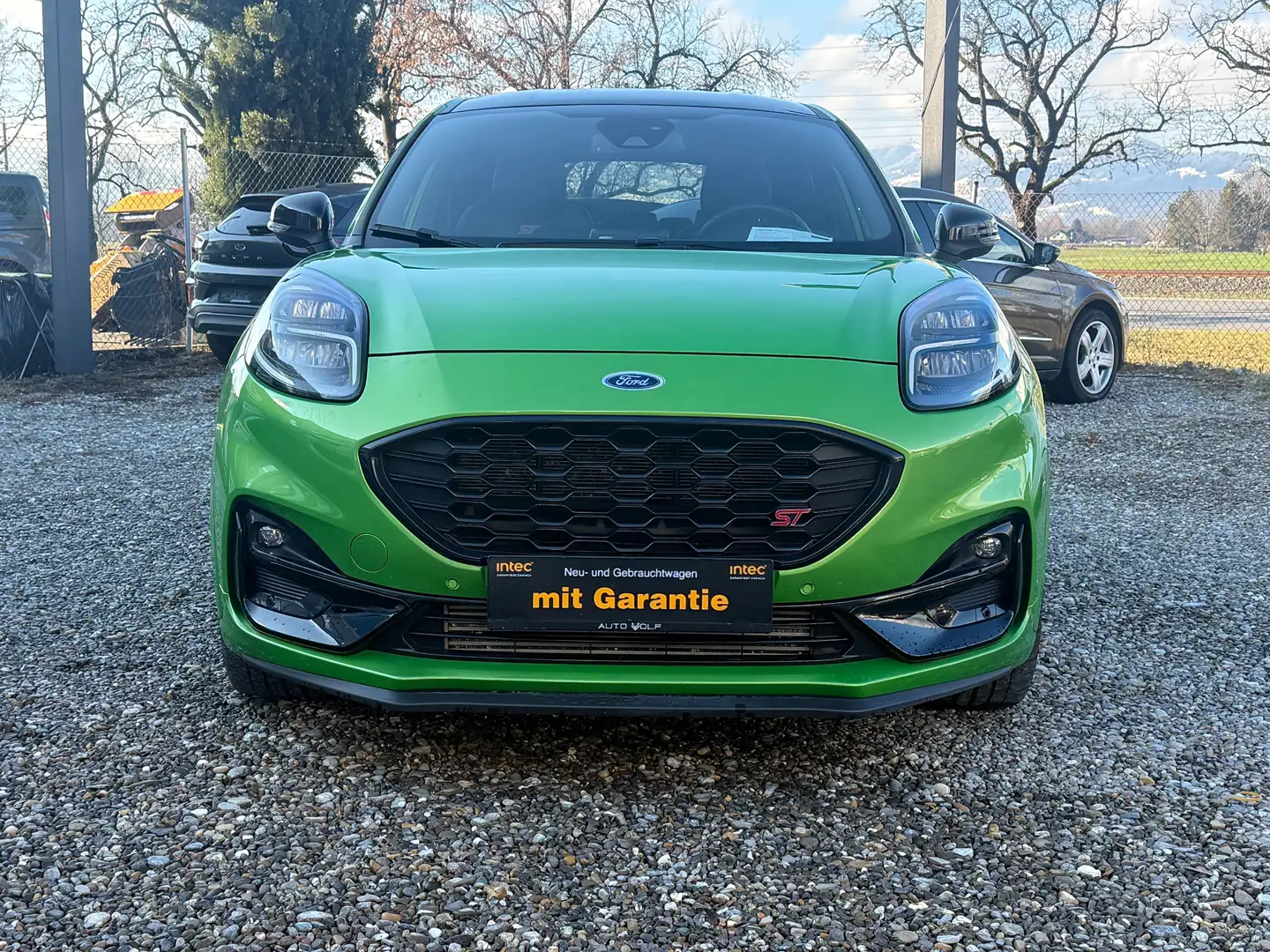 Ford Puma Puma 1,5 EcoBoost ST ST Grün - 2