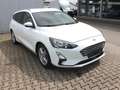 Ford Focus Cool & Connect 1,0 EcoBoost Start/Stopp Bianco - thumbnail 7