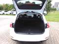 Ford Focus Cool & Connect 1,0 EcoBoost Start/Stopp Bianco - thumbnail 19