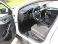 Ford Focus Cool & Connect 1,0 EcoBoost Start/Stopp Bianco - thumbnail 3