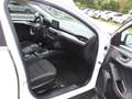Ford Focus Cool & Connect 1,0 EcoBoost Start/Stopp Bianco - thumbnail 25