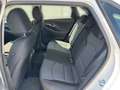 Hyundai i30 Trend 1.5 T-GDI Komfortpaket LED Navi R-Cam SHZ Al Wit - thumbnail 11