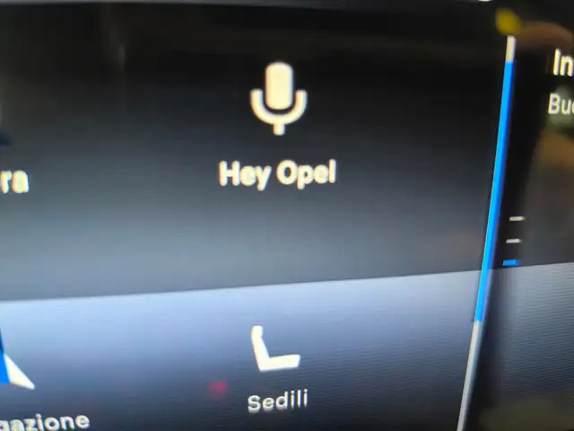 Opel Grandland view 27