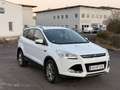 Ford Kuga 1,6 EcoBoost Trend - thumbnail 1