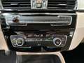 BMW X1 sdrive18d Business - Navigatore Blau - thumbnail 20