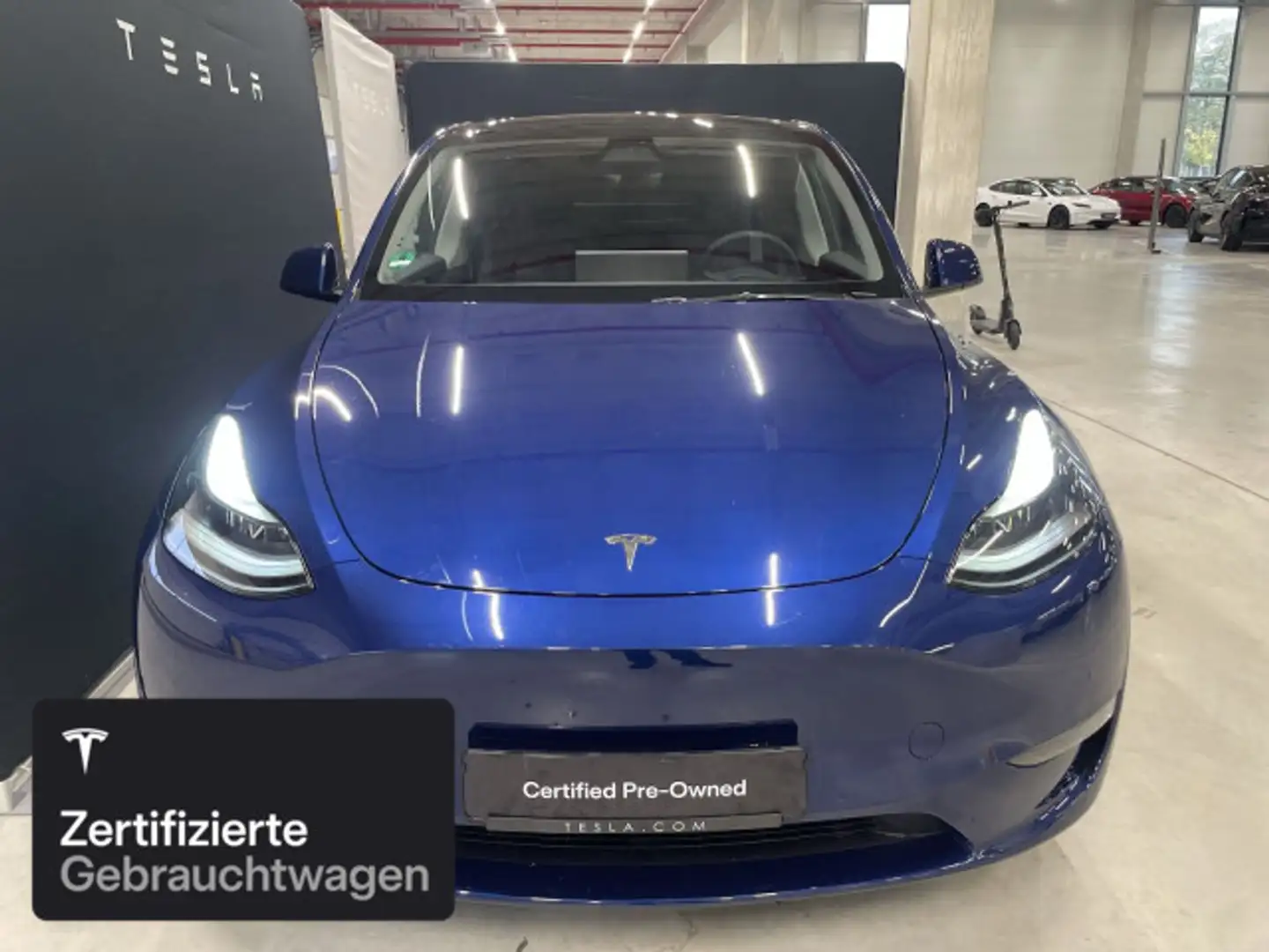 Tesla Model Y Long Range AWD Bleu - 2