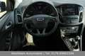 Ford Focus 1,0 EcoBoost 125PS Titanium|PDC|Frsp.|Navi Blau - thumbnail 16