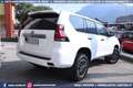 Toyota Land Cruiser 155 2.8 D4-D 5p 4X4 MANUALE 7POSTI Bianco - thumbnail 3