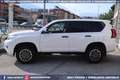 Toyota Land Cruiser 155 2.8 D4-D 5p 4X4 MANUALE 7POSTI Bianco - thumbnail 7