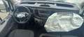 Ford Transit 350 2.0 EcoBlue 150cv L2 H2 Pulmino 9 Posti Trend Bianco - thumbnail 12