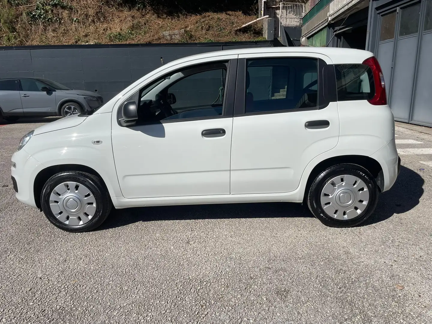 Fiat Panda 1.2 Easy s Bianco - 2