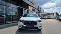 DS Automobiles DS 7 Crossback DS7 Crossback BlueHDi 180 So Chic Weiß - thumbnail 12