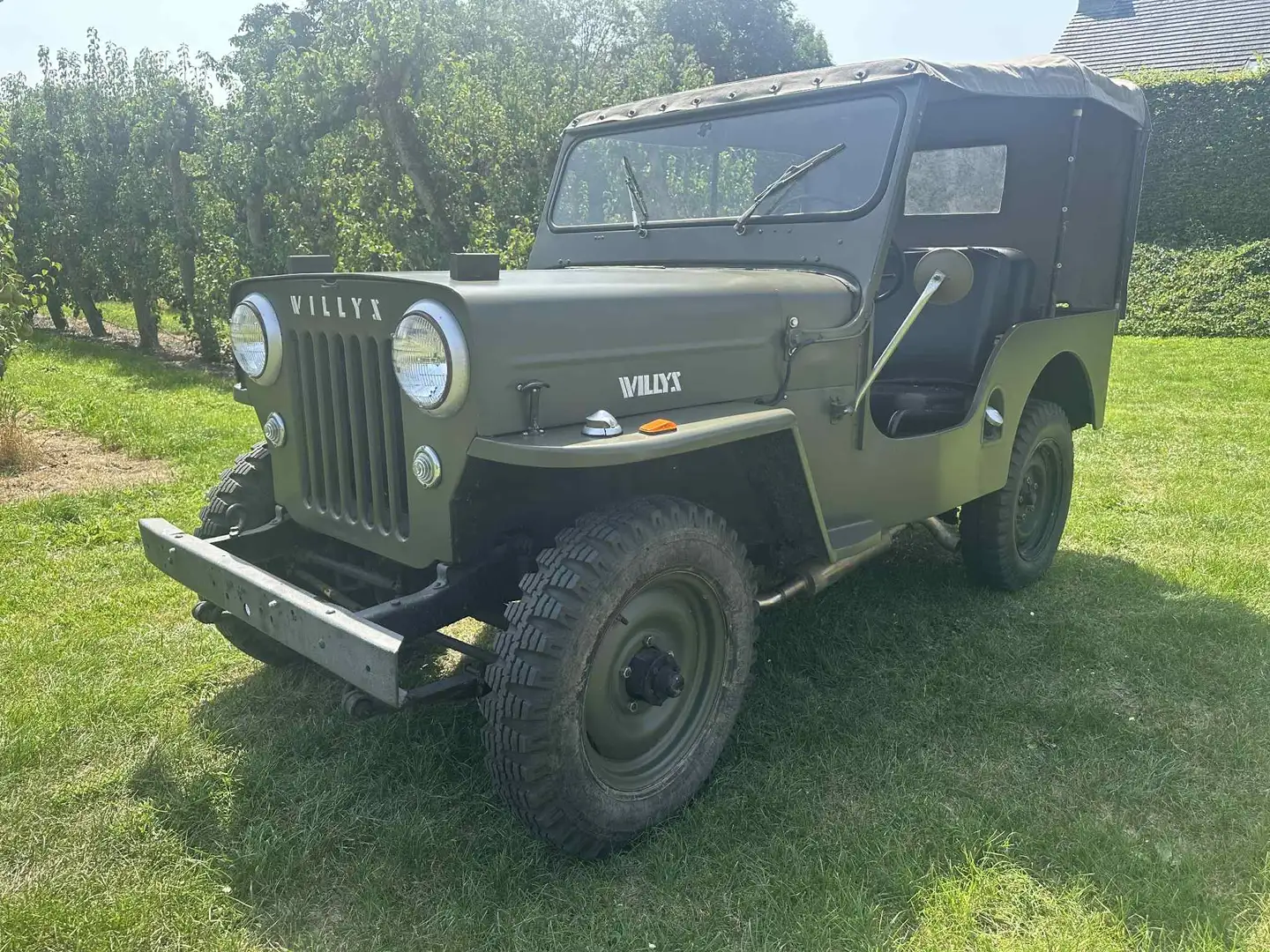 Jeep Willys CJ3B - 1