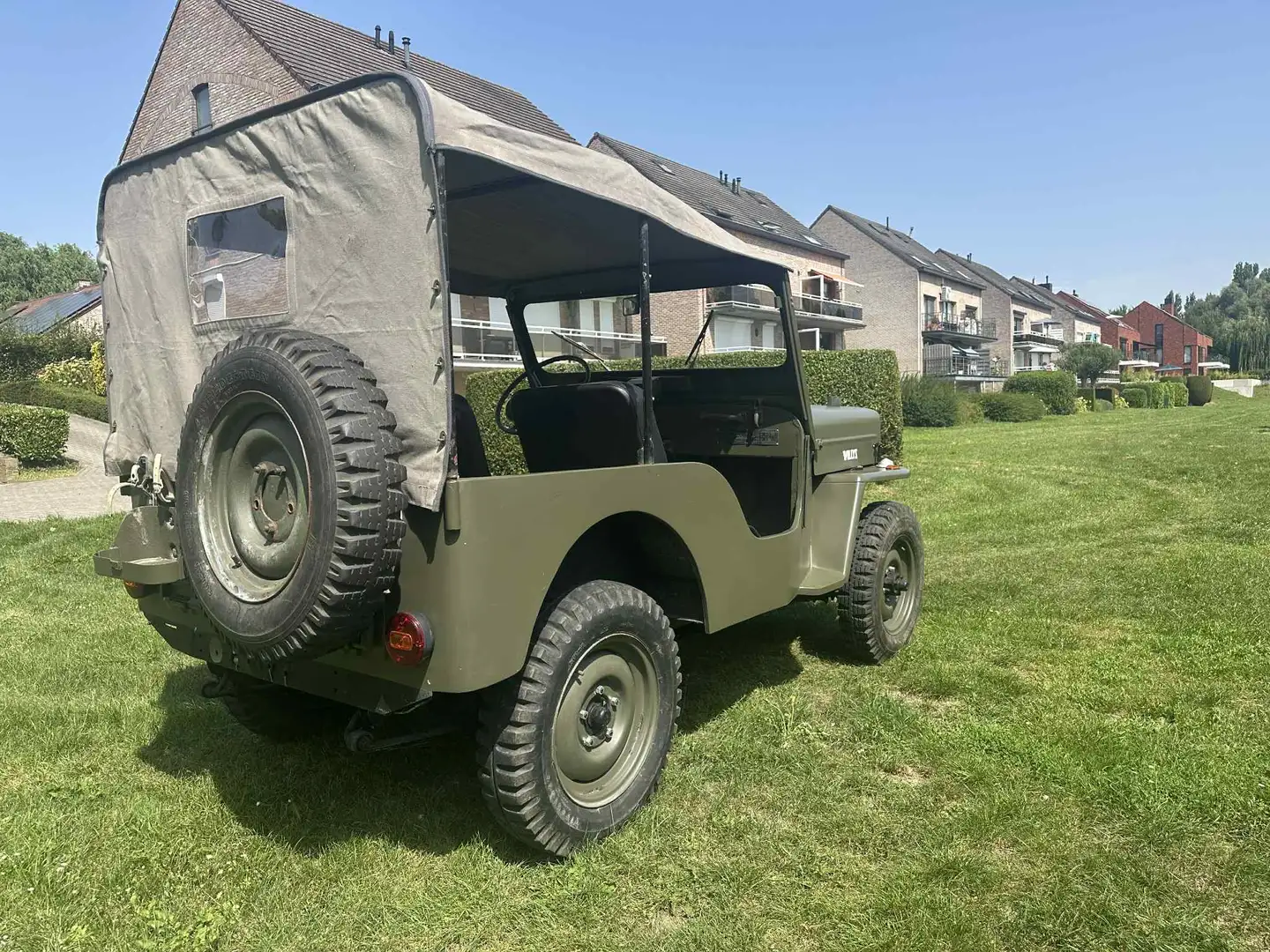 Jeep Willys CJ3B - 2