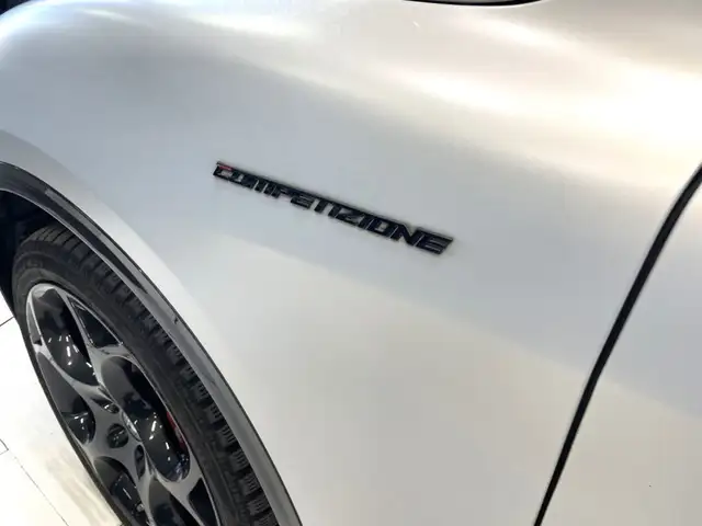 Alfa Romeo Stelvio view 14