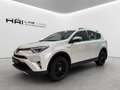 Toyota RAV 4 Hybrid 4WD | LED | Kamera | Navi | AHK abnehmbar Weiß - thumbnail 1