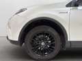 Toyota RAV 4 Hybrid 4WD | LED | Kamera | Navi | AHK abnehmbar Weiß - thumbnail 11