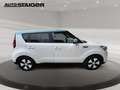 Kia Soul EV Play Kamera, Navi,Sitzheizung,... plava - thumbnail 7