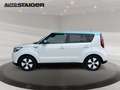 Kia Soul EV Play Kamera, Navi,Sitzheizung,... plava - thumbnail 9