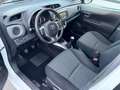 Toyota Yaris 1.0 BENZ 69 CV ADATTA A NEOPATENTATI Blanc - thumbnail 9