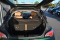 Opel Adam Open Air ecoFlex Grün - thumbnail 16
