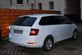 Skoda Fabia Combi Ambition Weiß - thumbnail 4