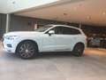 Volvo XC60 T8 Twin Engine AWD Geartronic Inscription - thumbnail 3
