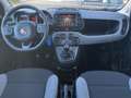 Fiat Panda 1.0 70pk Hybrid City Life | Airco | Carplay | DAB+ Wit - thumbnail 11