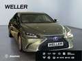 Lexus ES 300 h *Bi-LED*HUD*Leder*360*GSD*Levinson*ACC*Allwetter Groen - thumbnail 4
