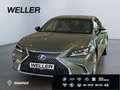 Lexus ES 300 h *Bi-LED*HUD*Leder*360*GSD*Levinson*ACC*Allwetter Groen - thumbnail 1