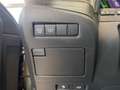 Lexus ES 300 h *Bi-LED*HUD*Leder*360*GSD*Levinson*ACC*Allwetter Groen - thumbnail 24
