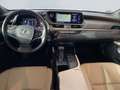 Lexus ES 300 h *Bi-LED*HUD*Leder*360*GSD*Levinson*ACC*Allwetter Groen - thumbnail 12