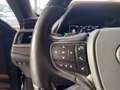 Lexus ES 300 h *Bi-LED*HUD*Leder*360*GSD*Levinson*ACC*Allwetter Groen - thumbnail 25