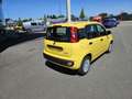 Fiat Panda 1.0i MHEV Classic - thumbnail 4